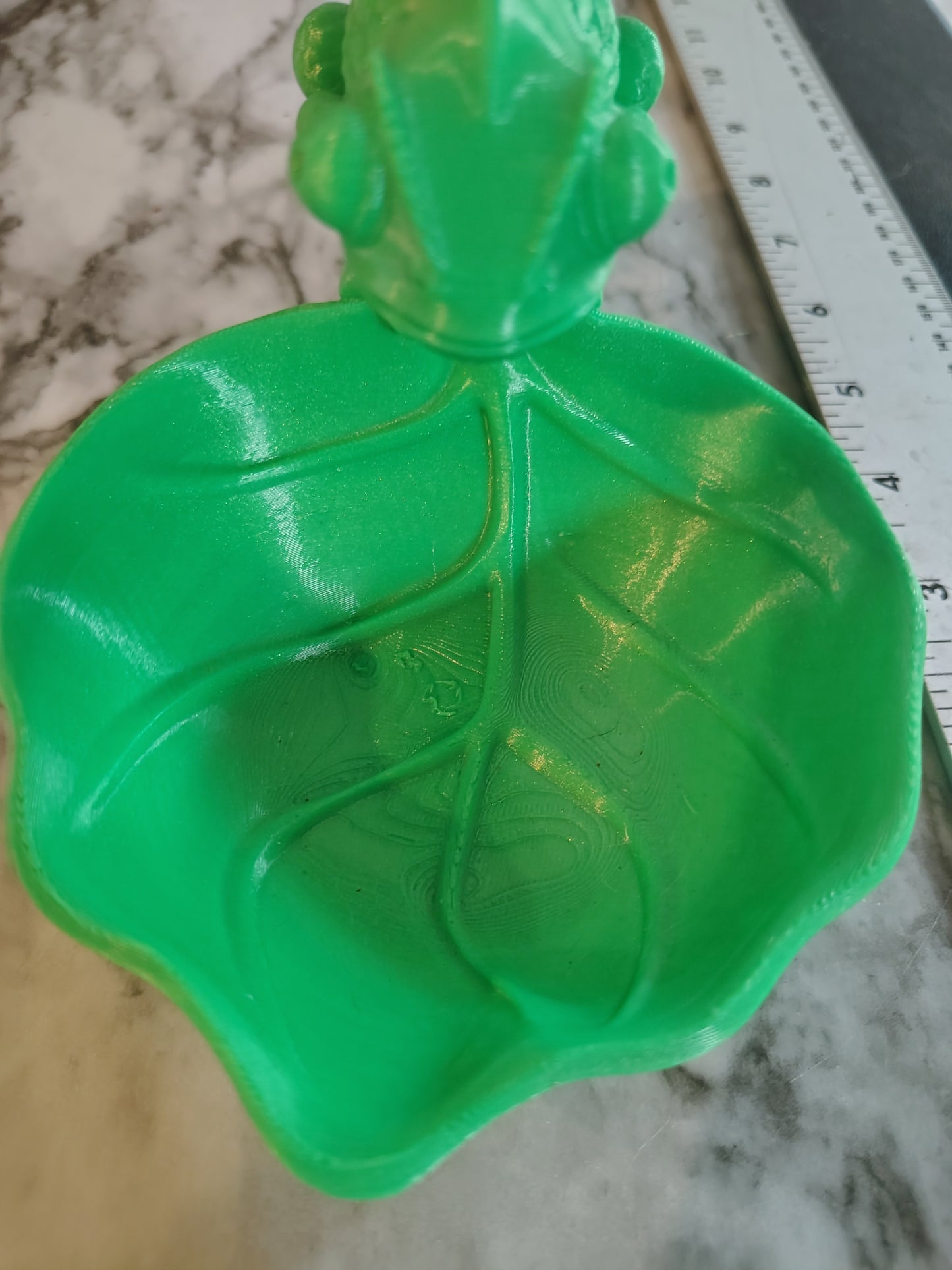Pet animal chameleon feeding bowl for lizards they need their own bowl