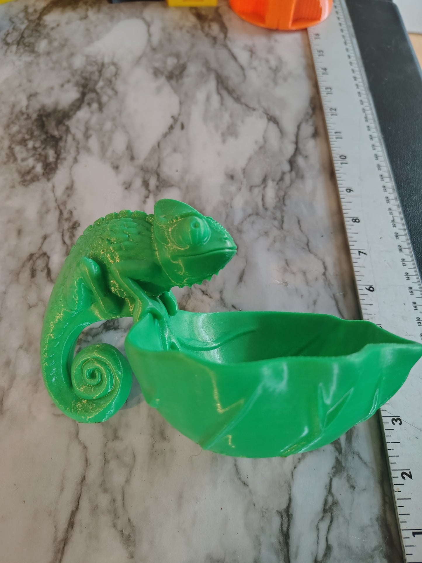 Pet animal chameleon feeding bowl for lizards they need their own bowl