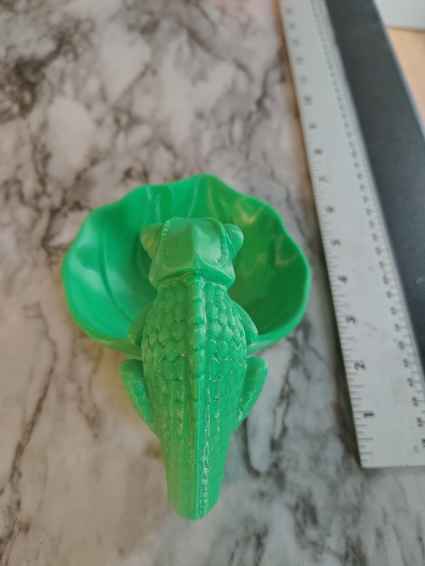 Pet animal chameleon feeding bowl for lizards they need their own bowl