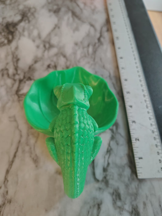 Pet animal chameleon feeding bowl for lizards they need their own bowl
